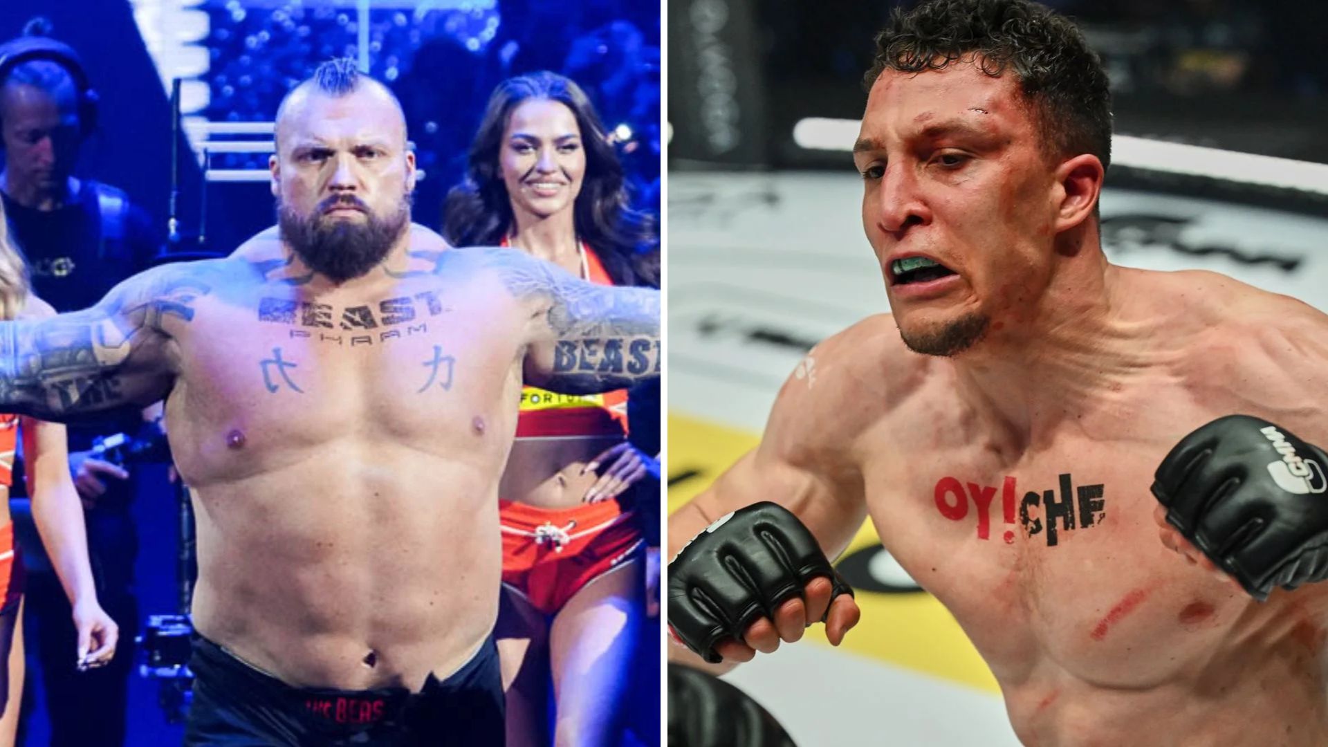 AJ chce Eddie’ego Halla! Walka z zawodowcem odpada: To byłaby zagłada