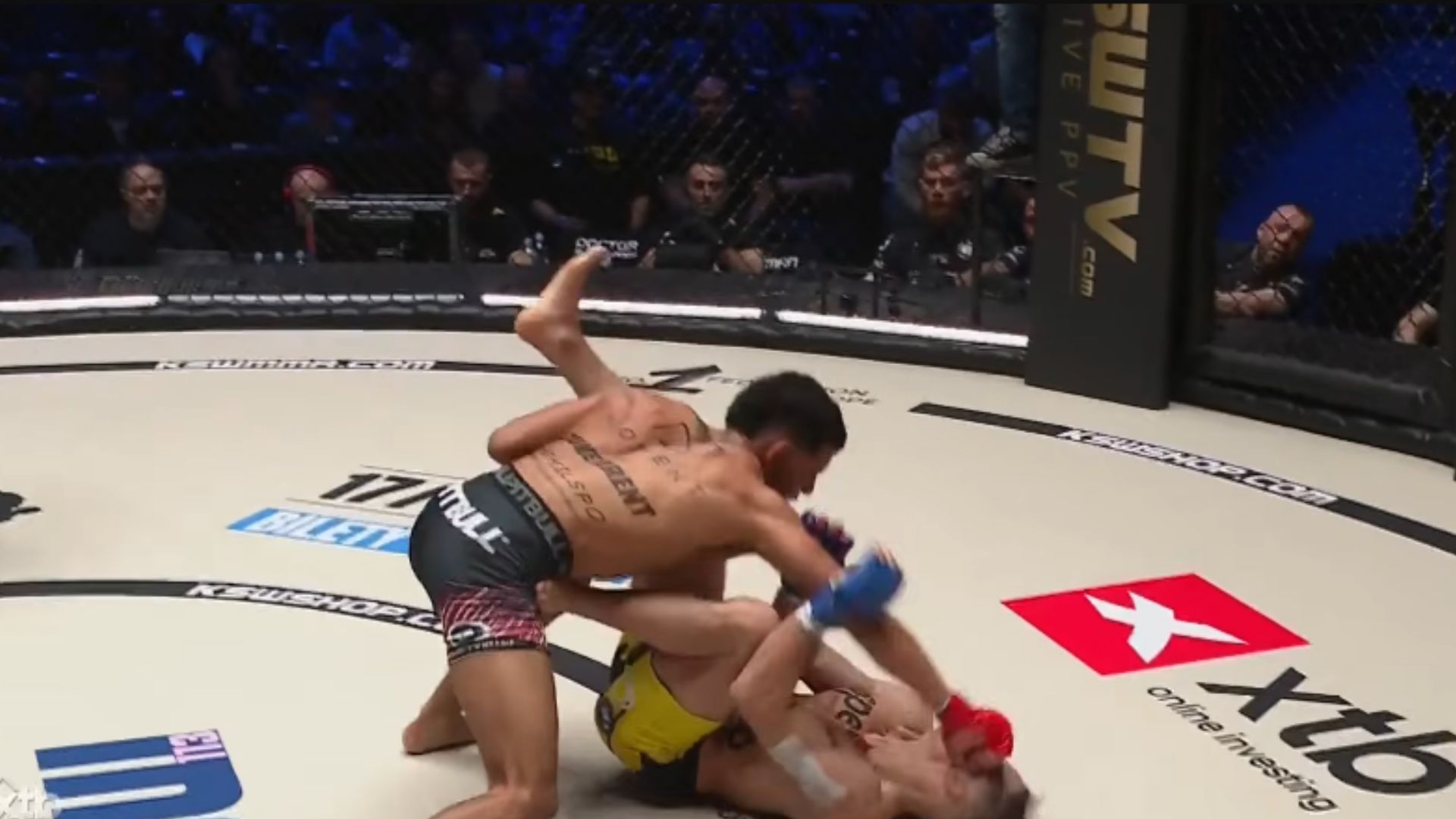 Eksplozywny Morelli znokautował Surdyna! Kapitalne otwarcie gali XTB KSW 113