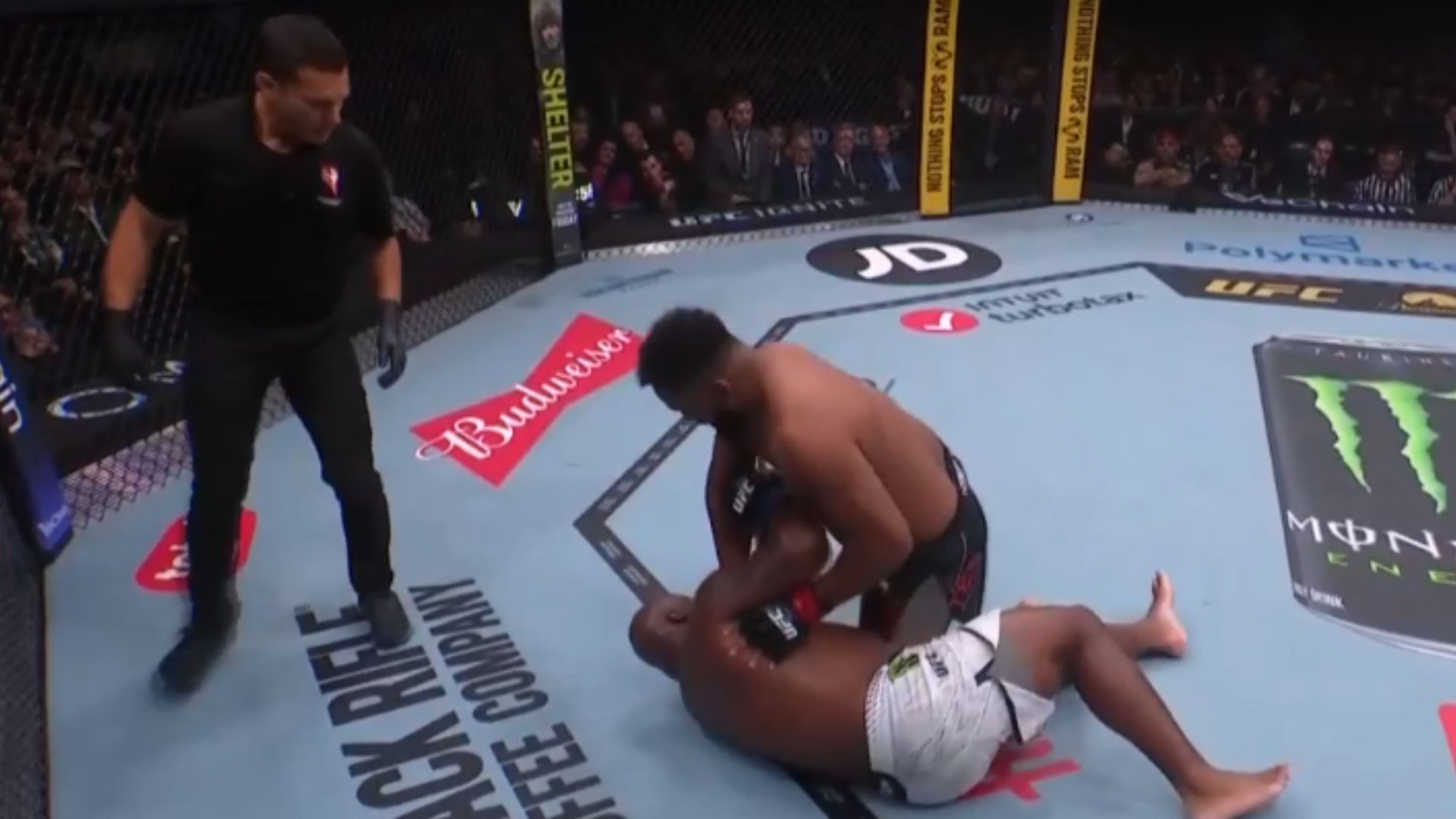 UFC 324: Cortes-Acosta z cennym nokautem! Król KO oktagonu pokonany [WIDEO]