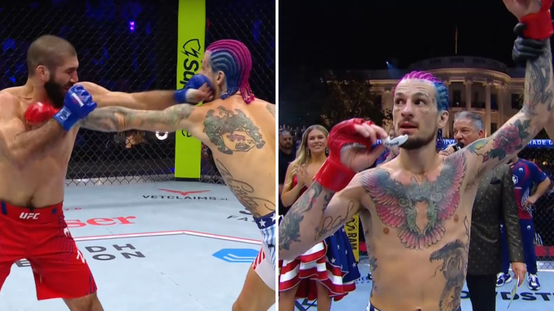 UFC: Sean O’Malley wygrał przez TKO. Zahabi odprawiony z kwitkiem w 2. rundzie